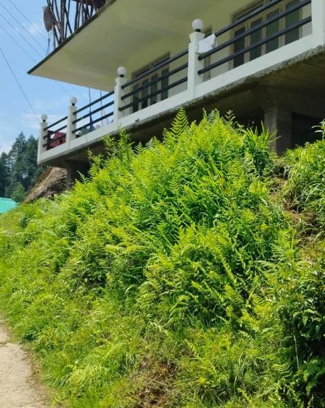 Yangzi Homestay Gorkhey Village Darjeeling