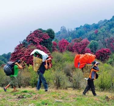 Okhrey- Nearby Sightseeing From Yangzi Homestay Gorkhey Darjeeling