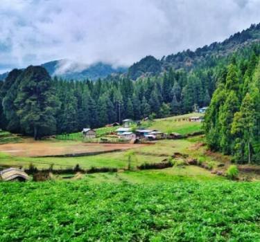 Samanden Village Village- Nearby Sightseeing From Yangzi Homestay Gorkhey Darjeeling