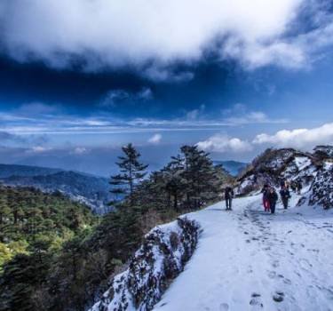 Phalut- Nearby Sightseeing From Yangzi Homestay Gorkhey Darjeeling