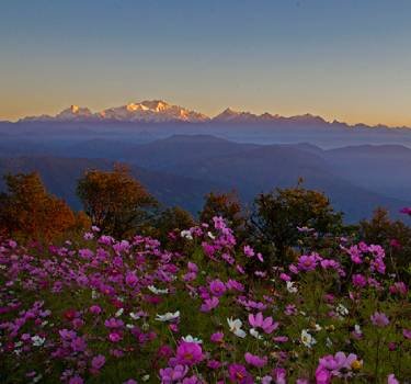 Singalila National Park- Nearby Sightseeing From Yangzi Homestay Gorkhey Darjeeling