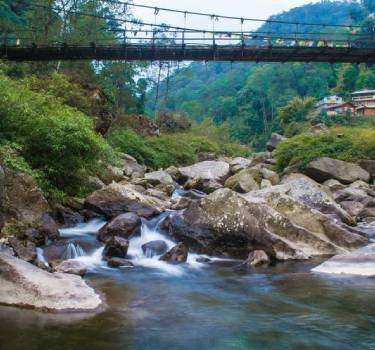 Srikhola Bridge- Nearby Sightseeing From Yangzi Homestay Gorkhey Darjeeling
